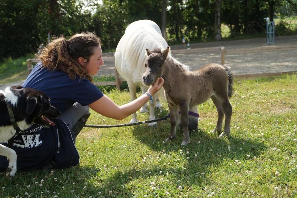 Gite Equestre Dans Centre Equestre Vers Saint Malo Plerguer Exteriör bild
